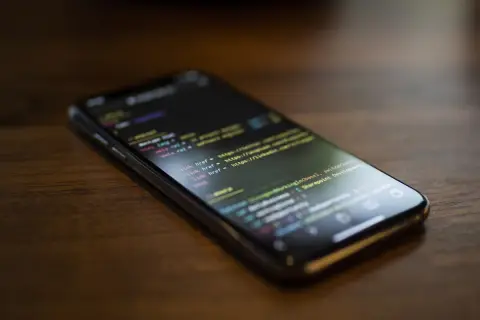 Website development